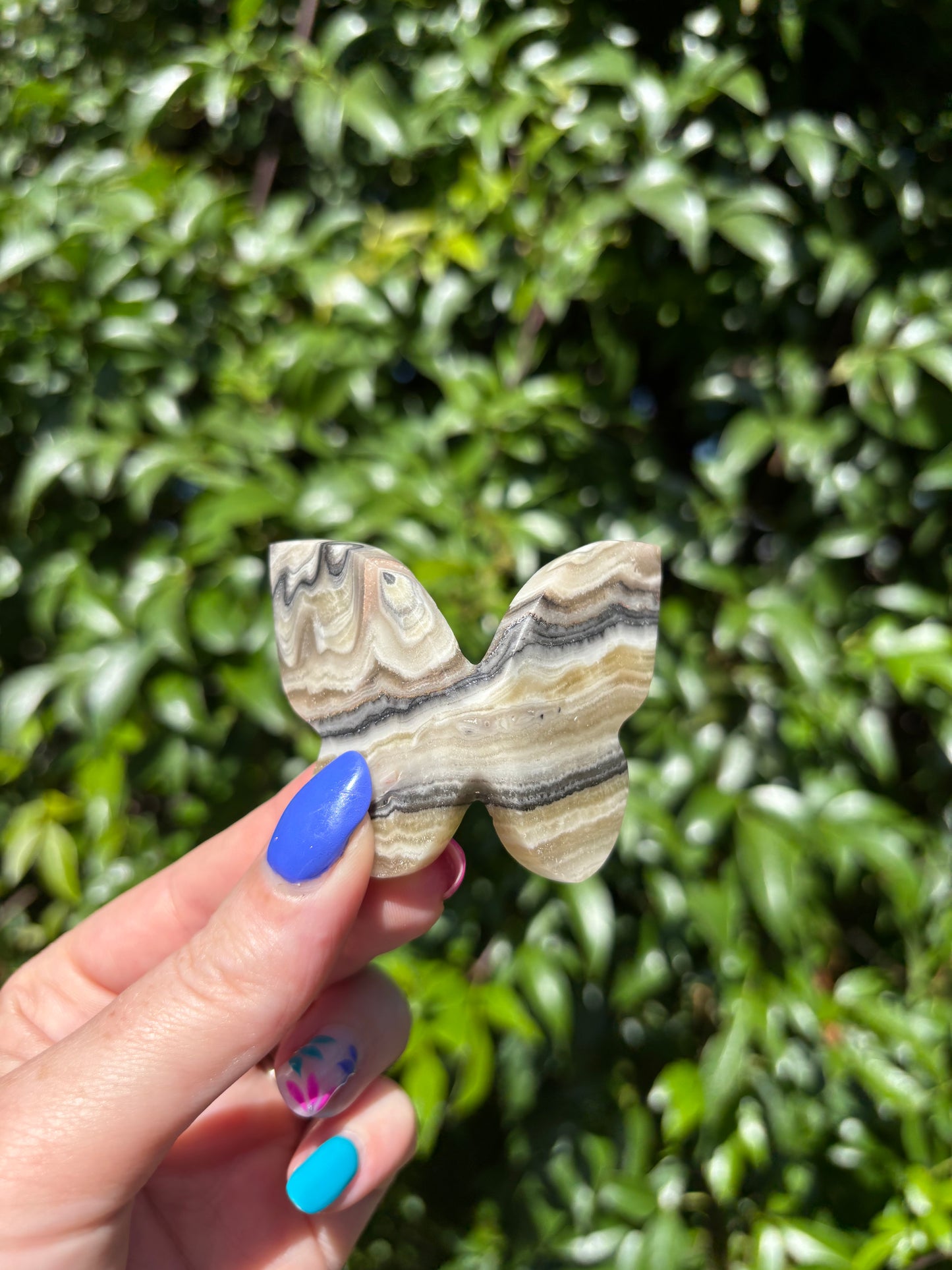 Zebra Calcite Carved Butterfly B