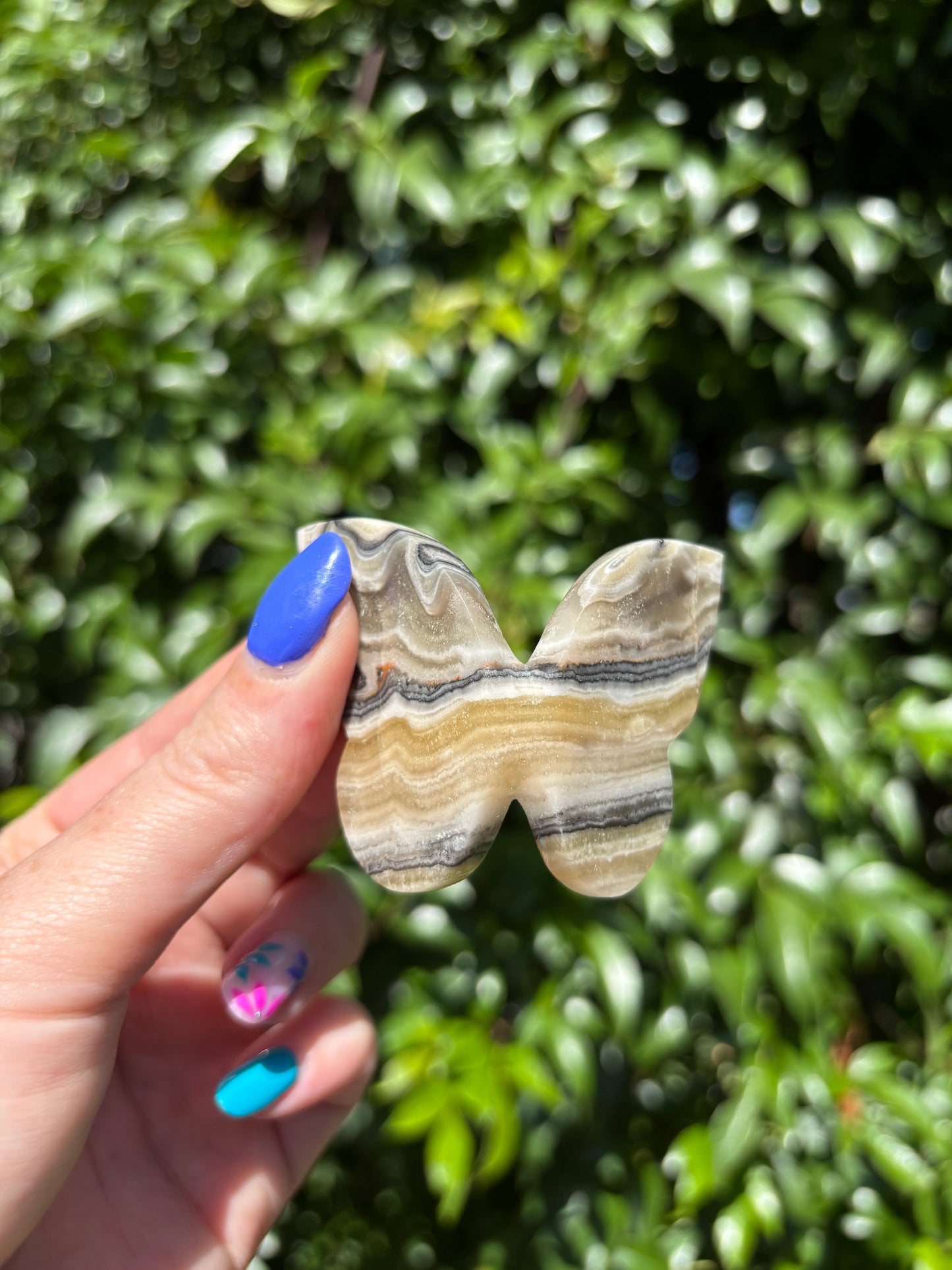Zebra Calcite 3D Large Butterfly C