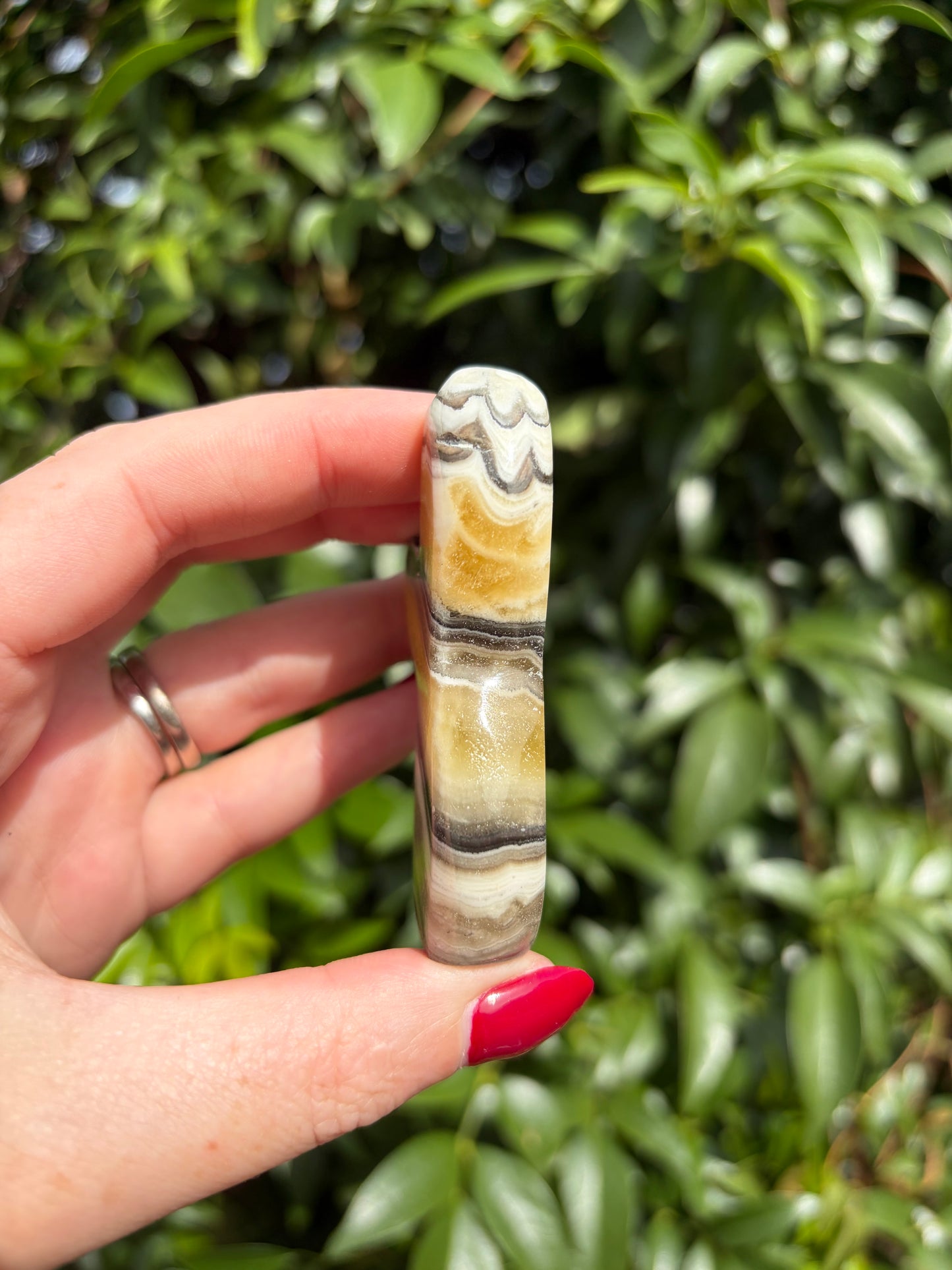 Zebra Calcite Mermaid Tail B