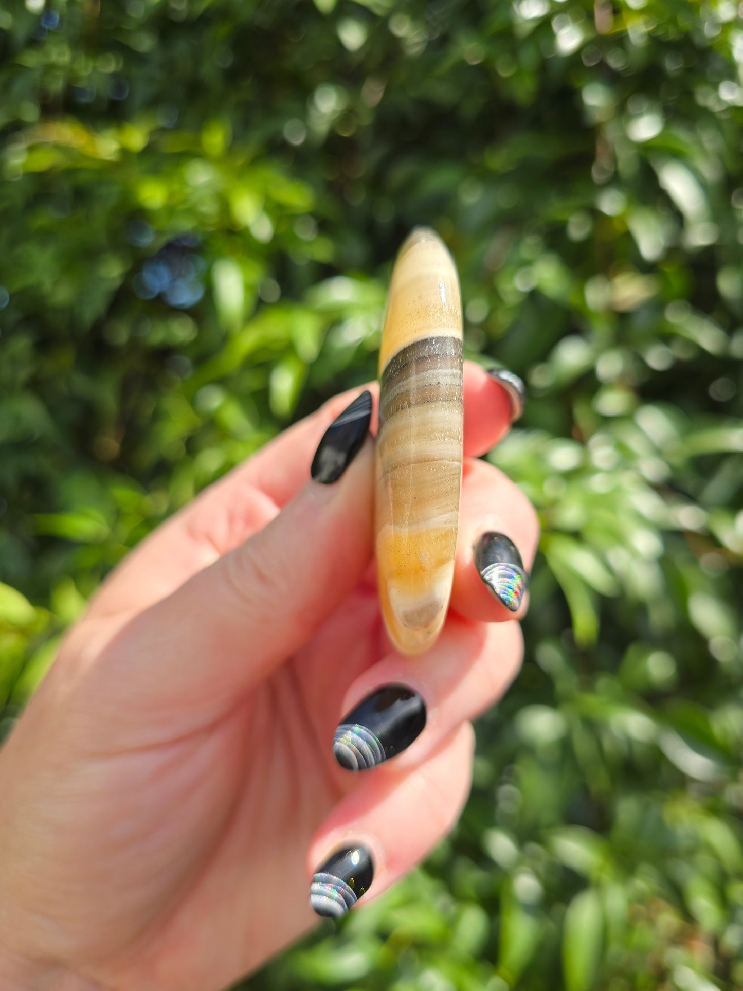 Zebra Calcite Medium Palm Stone