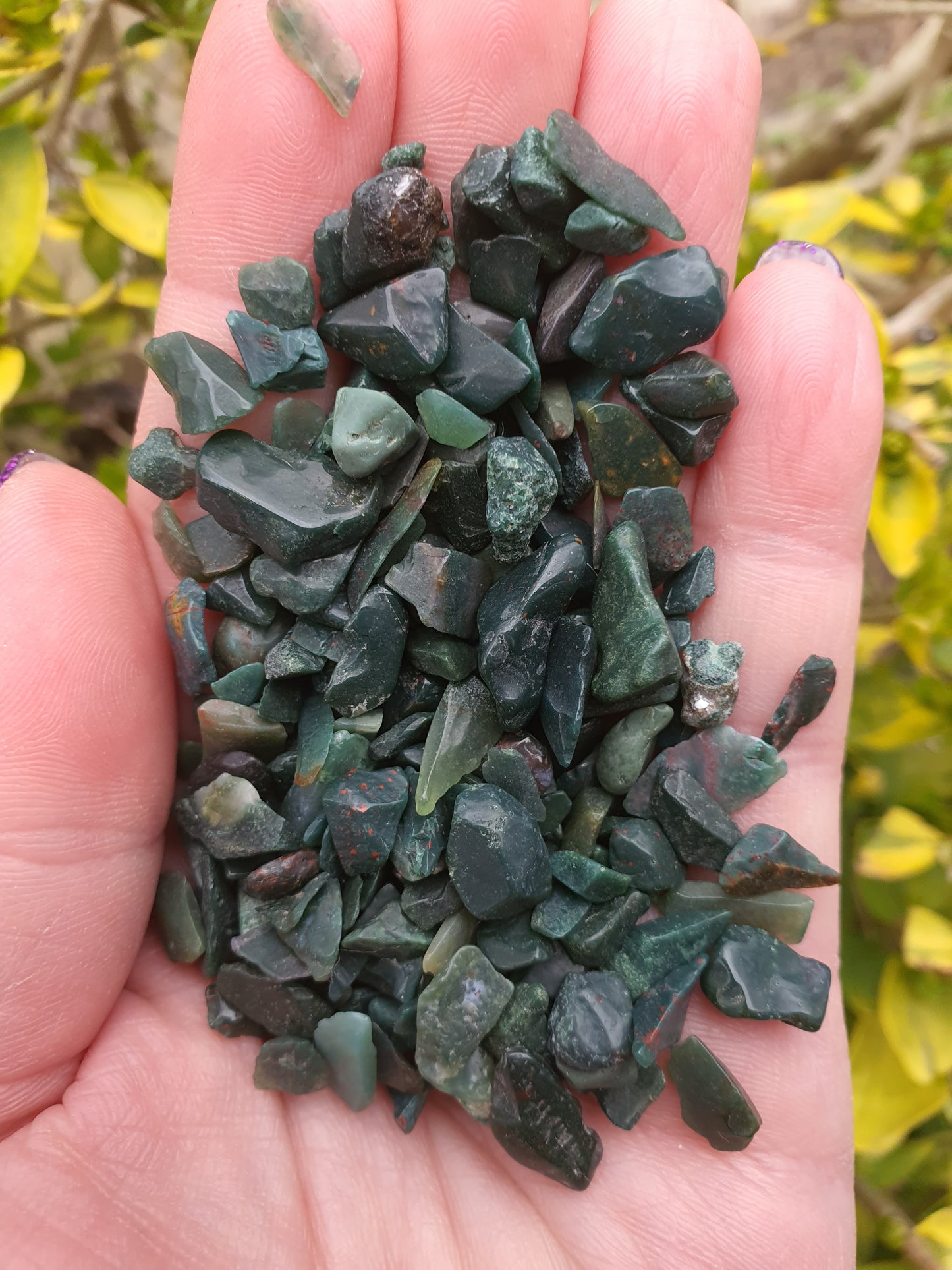 Bloodstone Crystal Chip 100 gms Bag