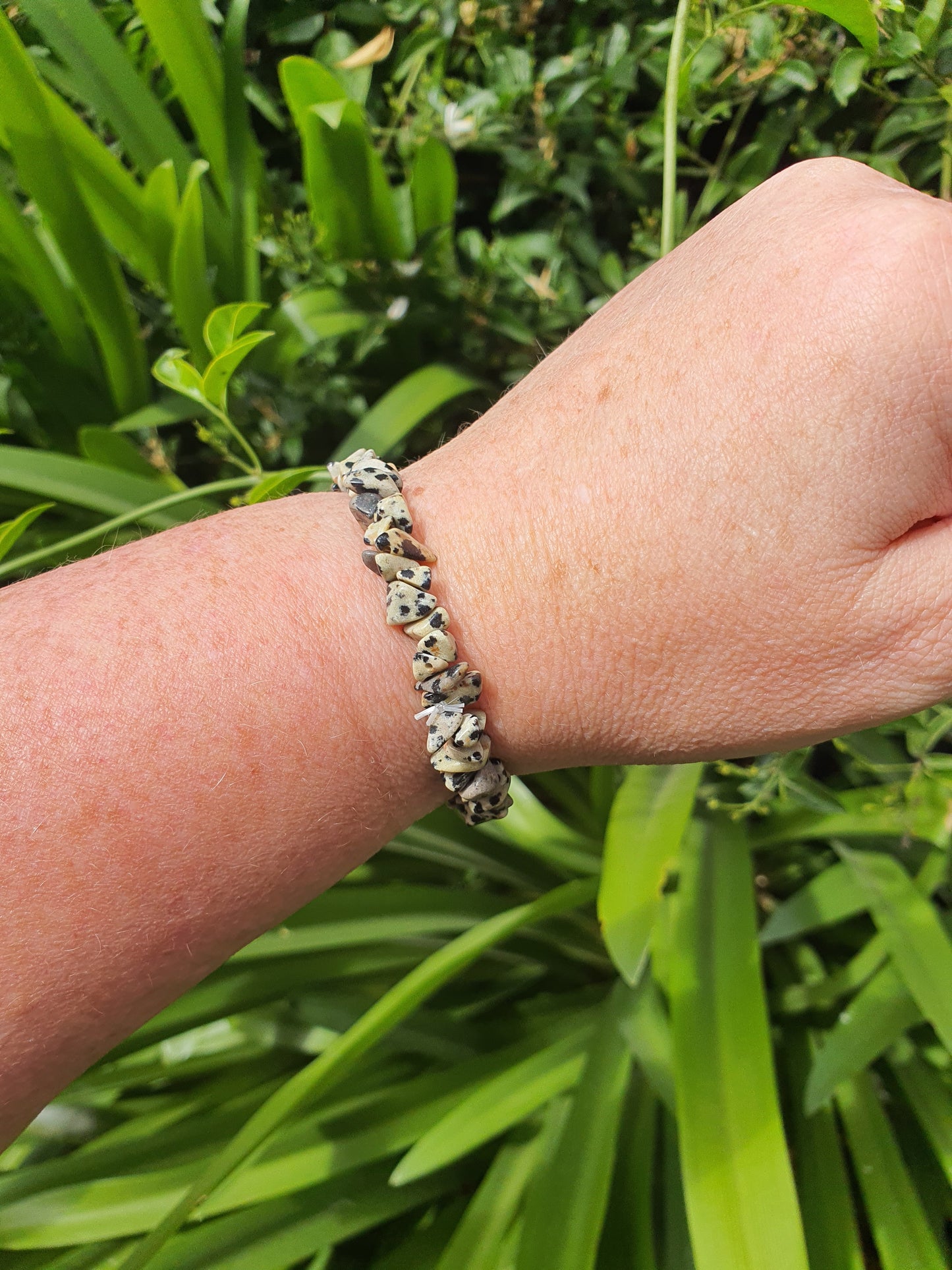 Dalmatian Jasper Crystal Chip Bracelet