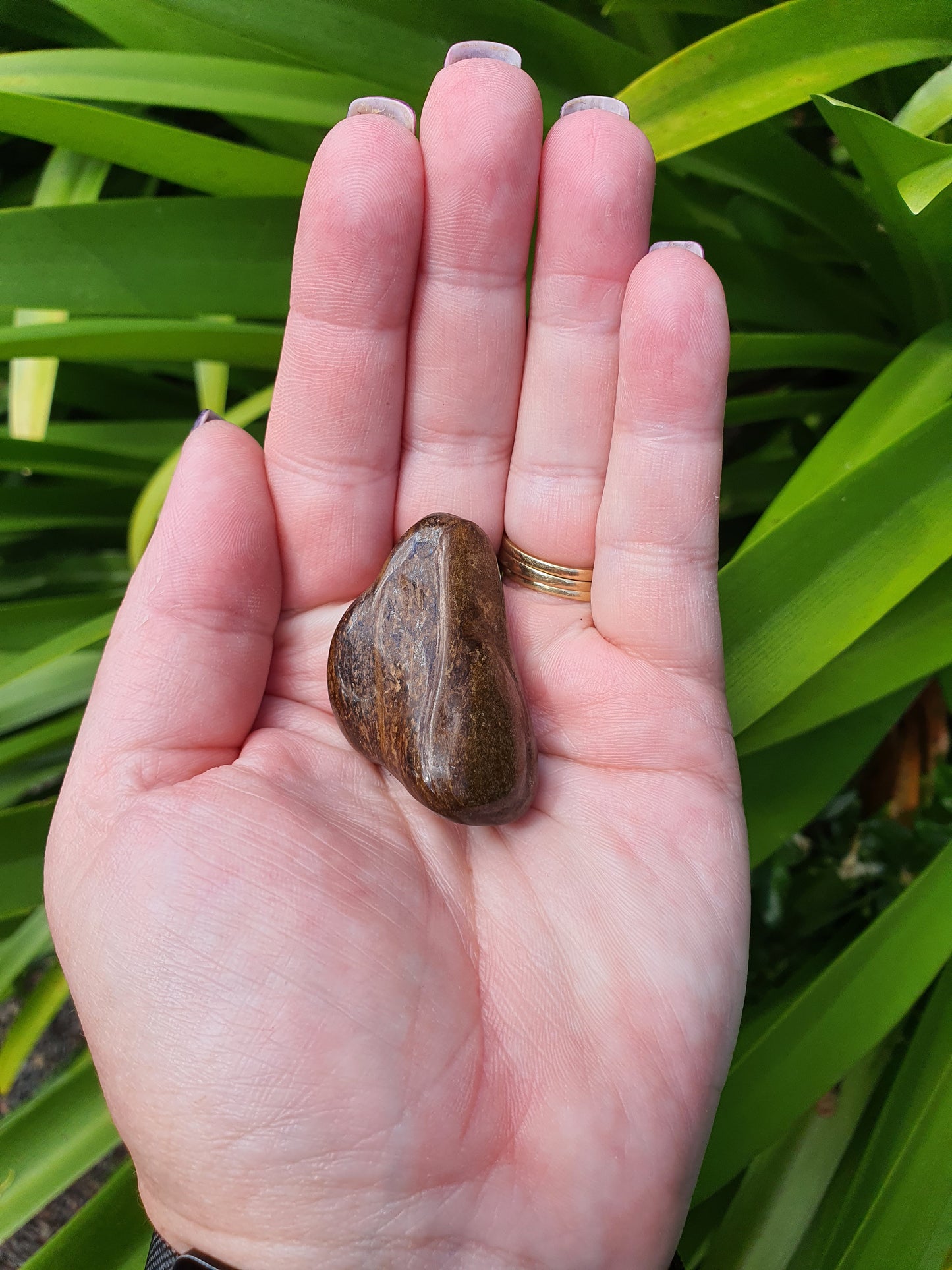 Bronzite Tumbled Stones Large