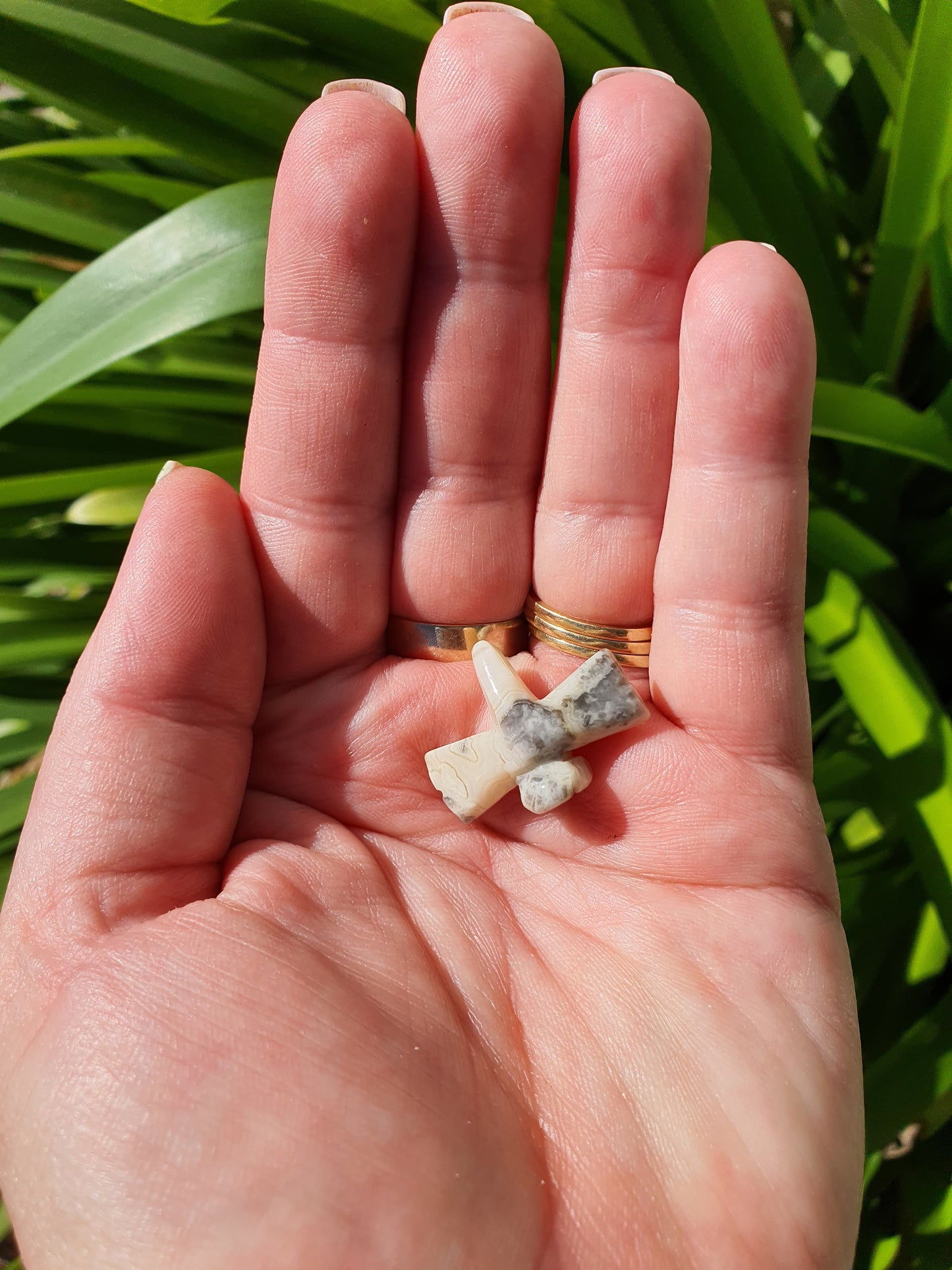 Crazy Lace Agate Mini Dragonfly