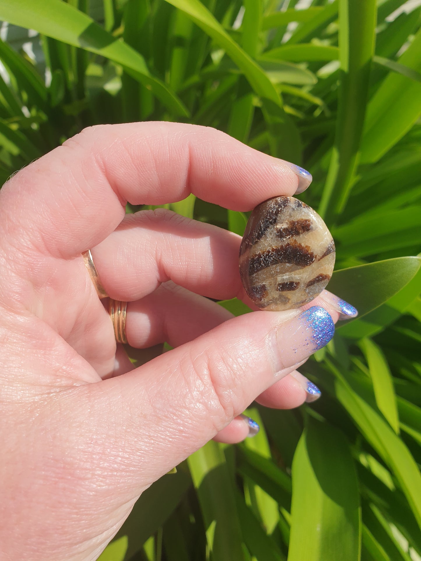 Septarian Tumbled Stone