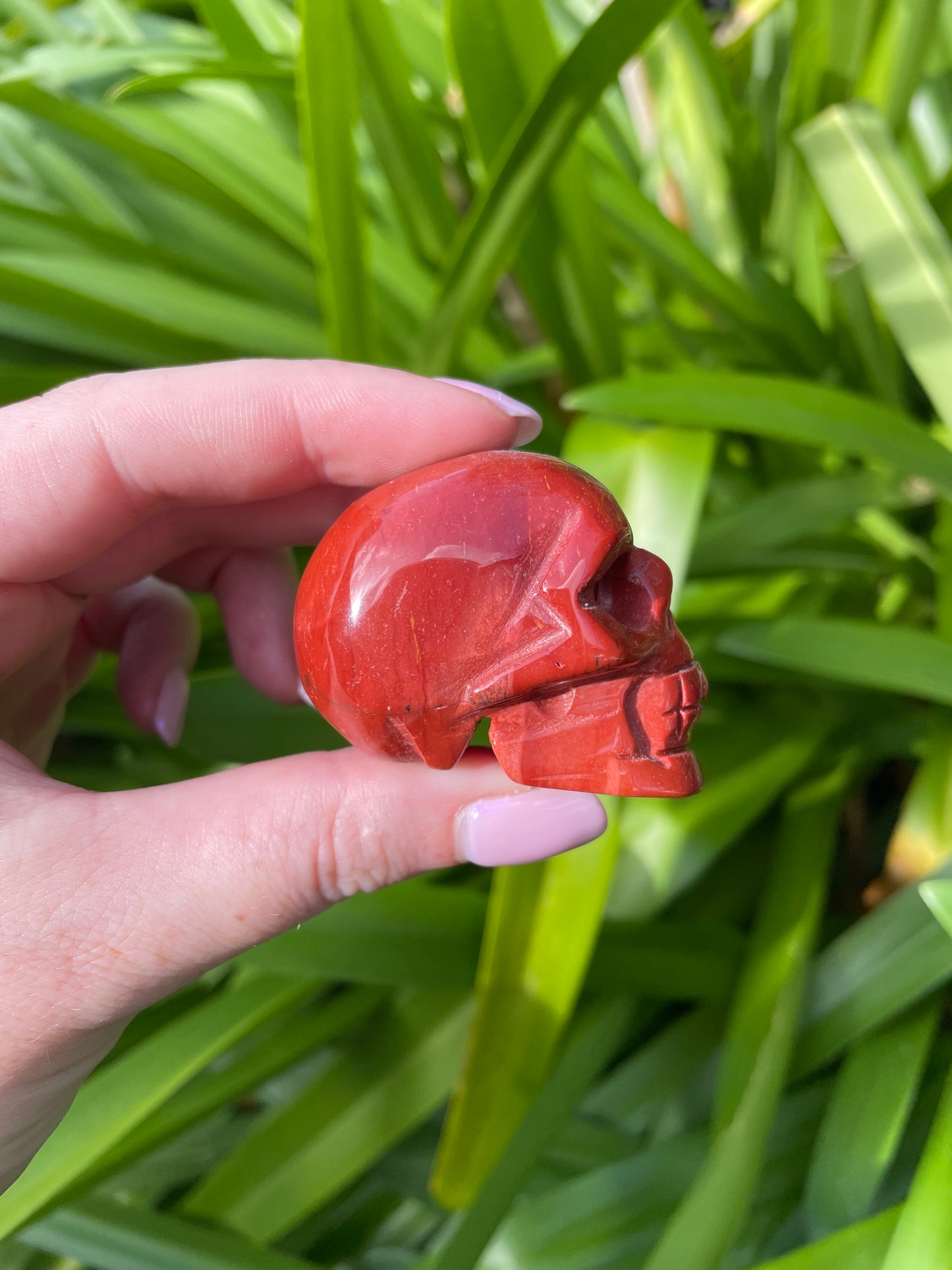 Red Jasper Skull Medium