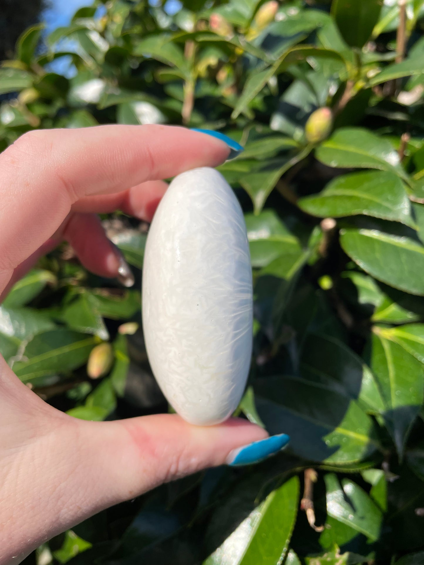 Scolecite Palm Stone A