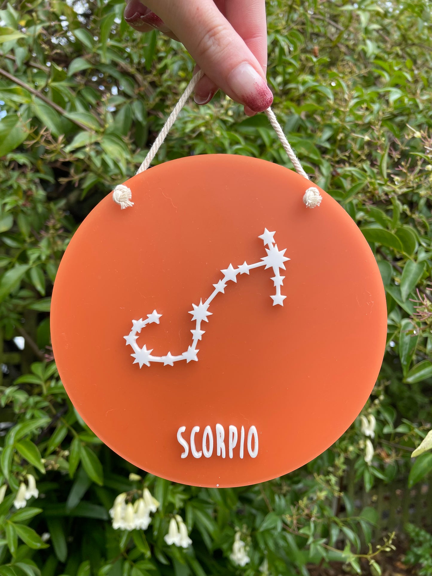 Star Sign Constellation Hanger | Scorpio