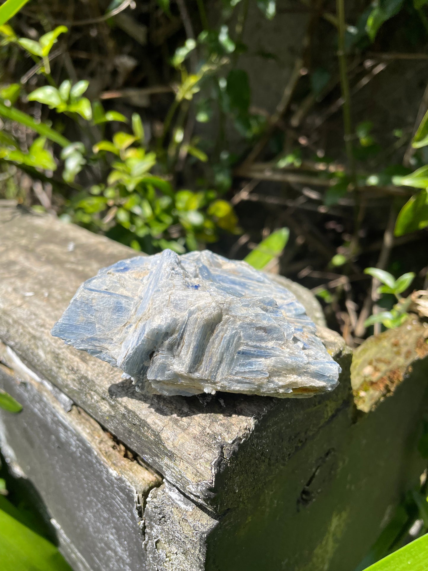 Blue Kyanite Piece C