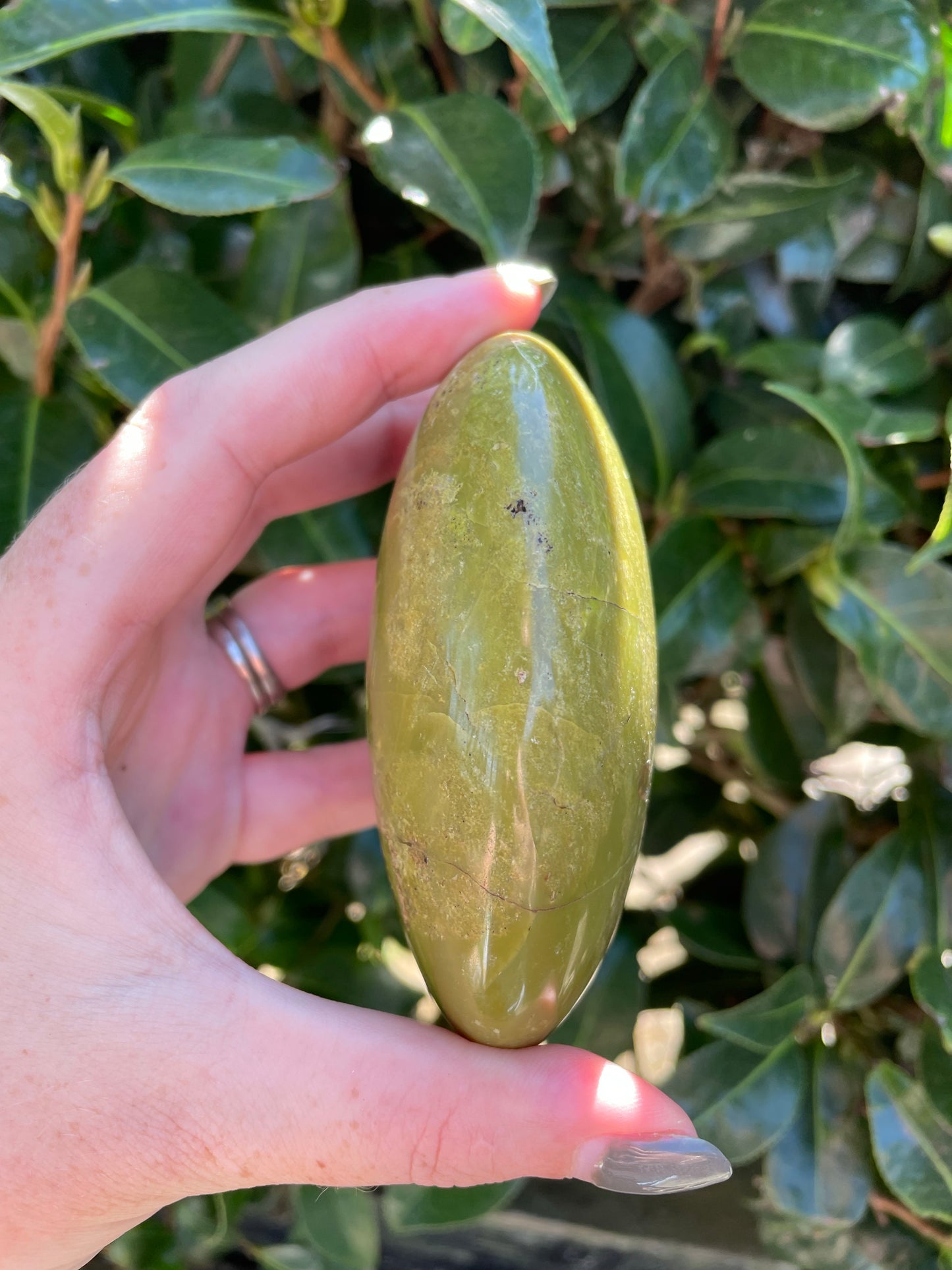 Green Opal Palm stone B