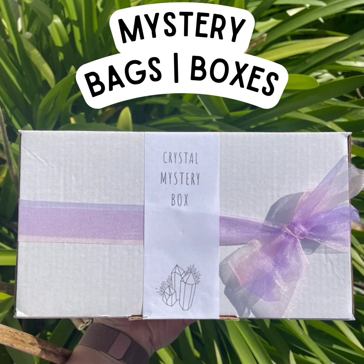 Mystery Bags | Boxes