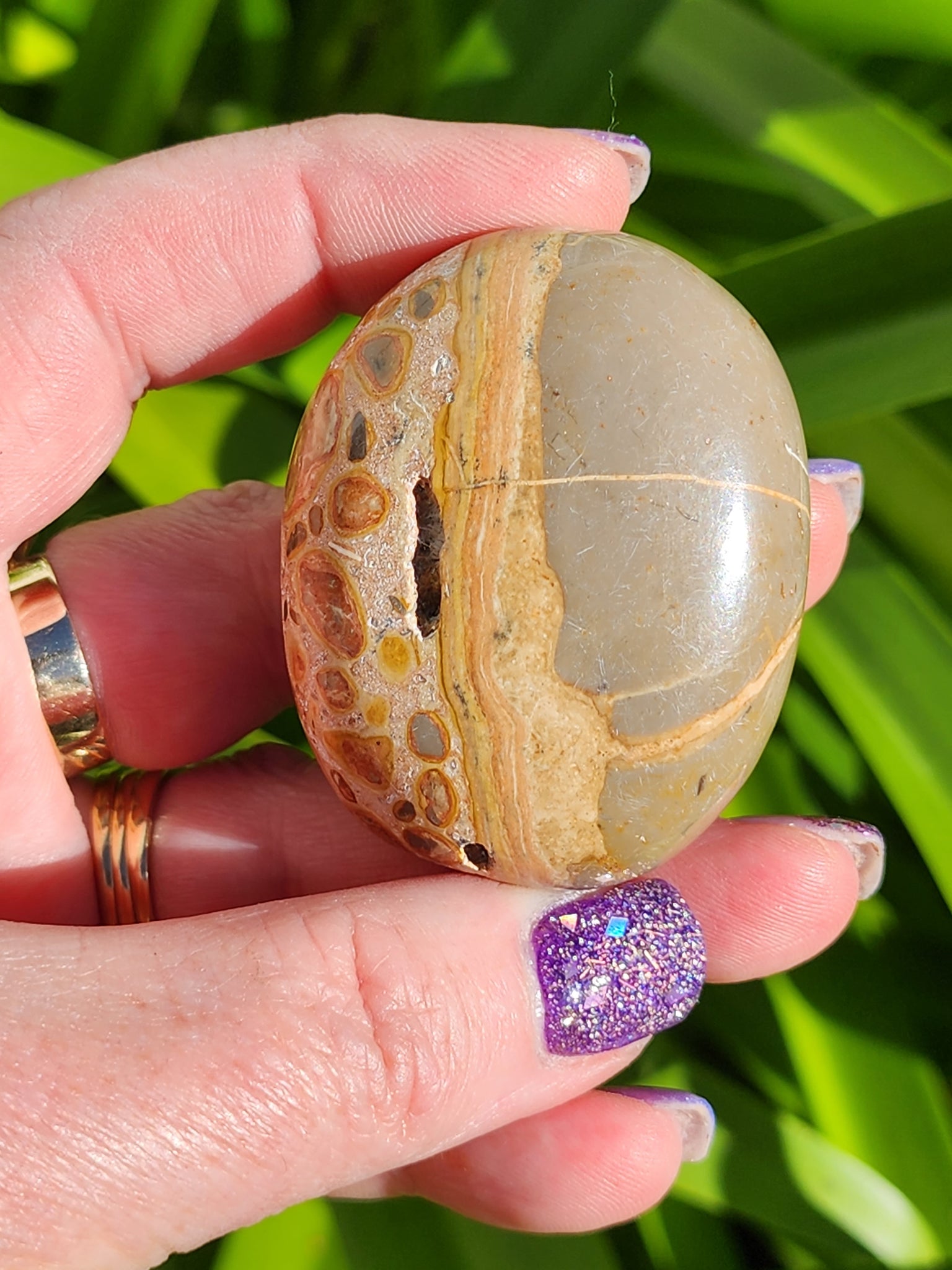 Leopardskin Jasper Palm Stone D