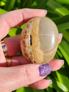 Leopardskin Jasper Palm Stone D