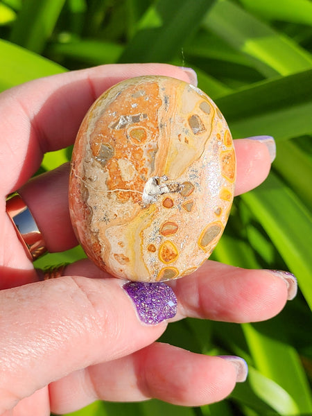 Leopardskin Jasper Palm Stone D
