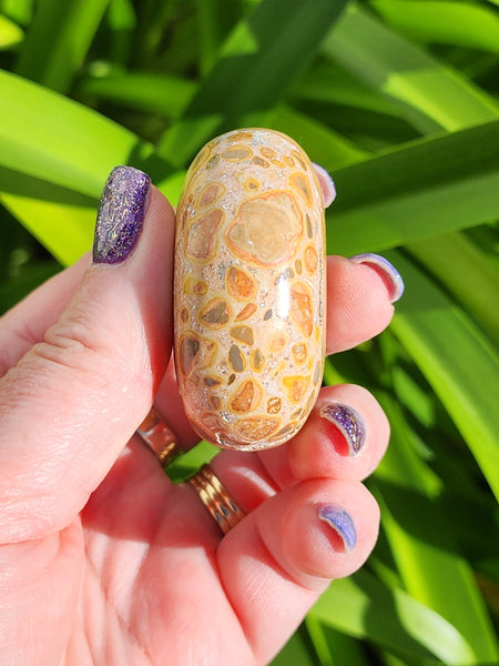 Leopardskin Jasper Palm Stone D