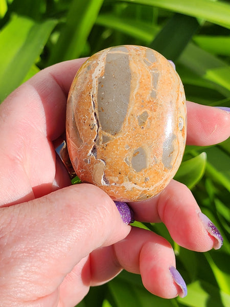 Leopardskin Jasper Palm Stone A