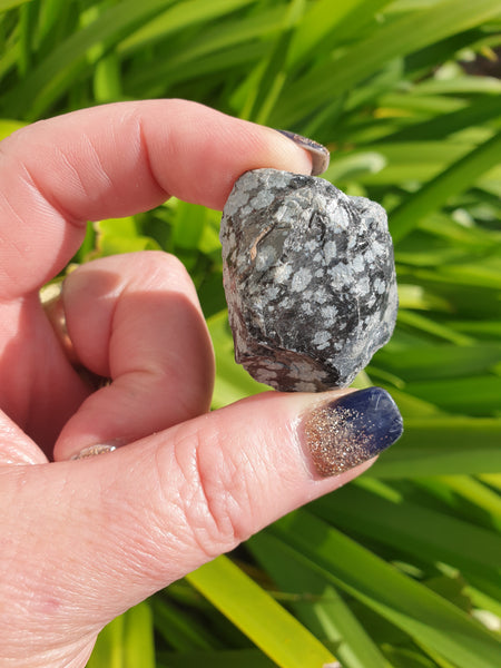 Snowflake Obsidian Rough Piece Small