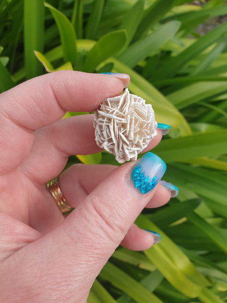 Desert Rose Pieces 10 Pack $20 Valued at $30