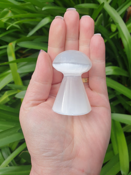 Selenite Mushroom