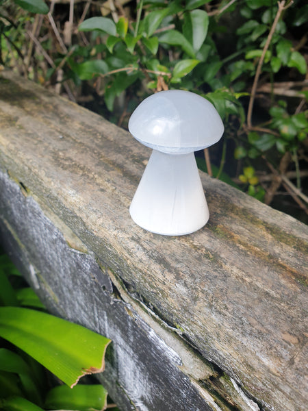 Selenite Mushroom