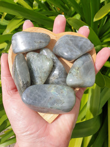 Labradorite Tumbled Stones Large