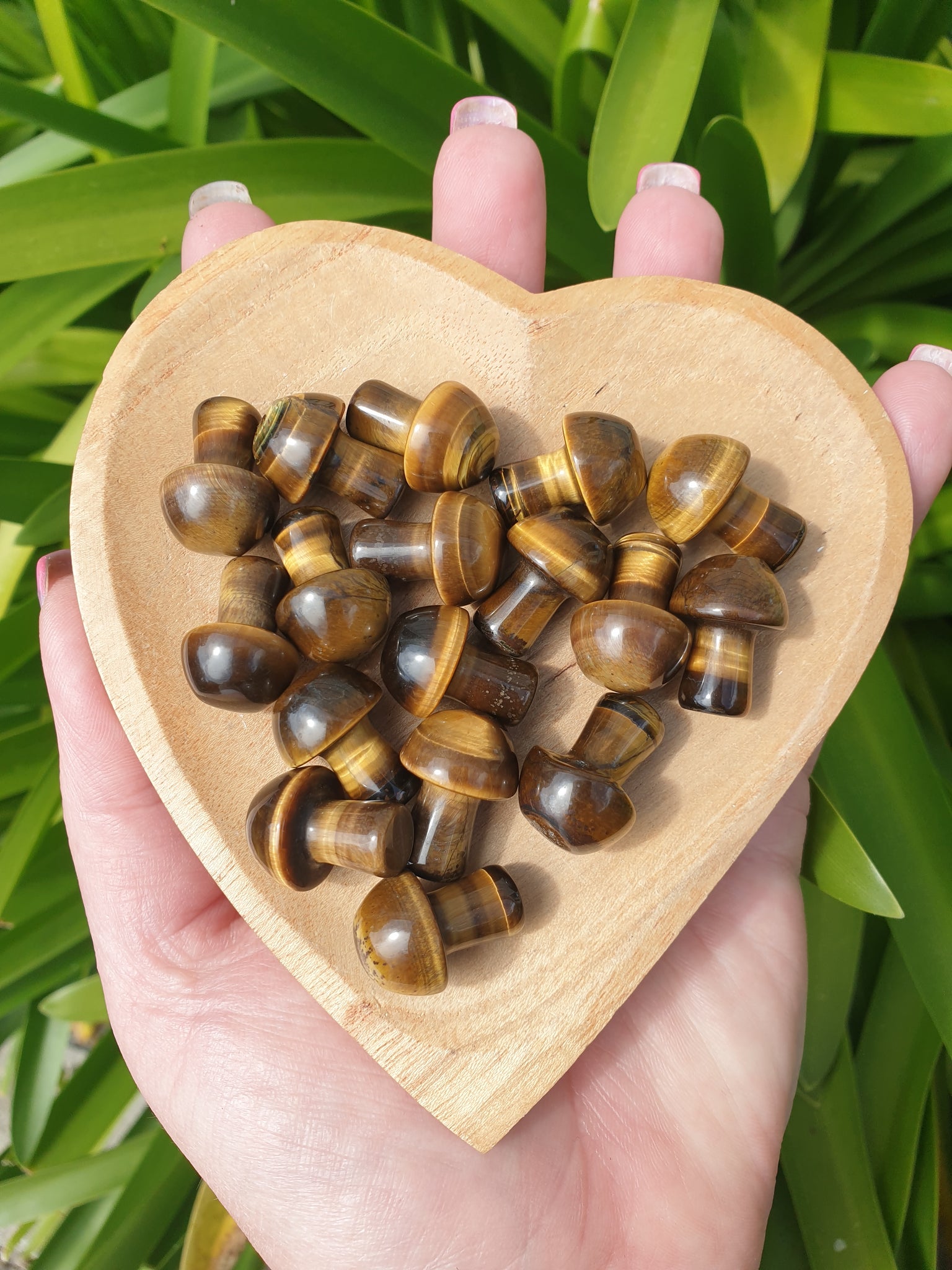 Tigers Eye Mini Mushroom