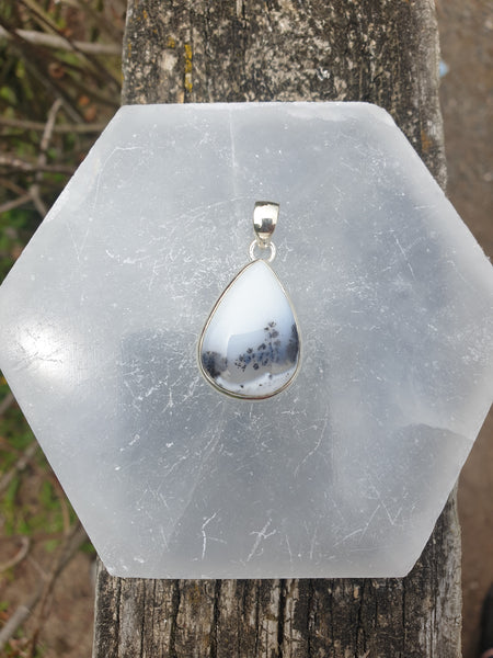 Dendritic Agate | Polished Sterling Silver Pendant B
