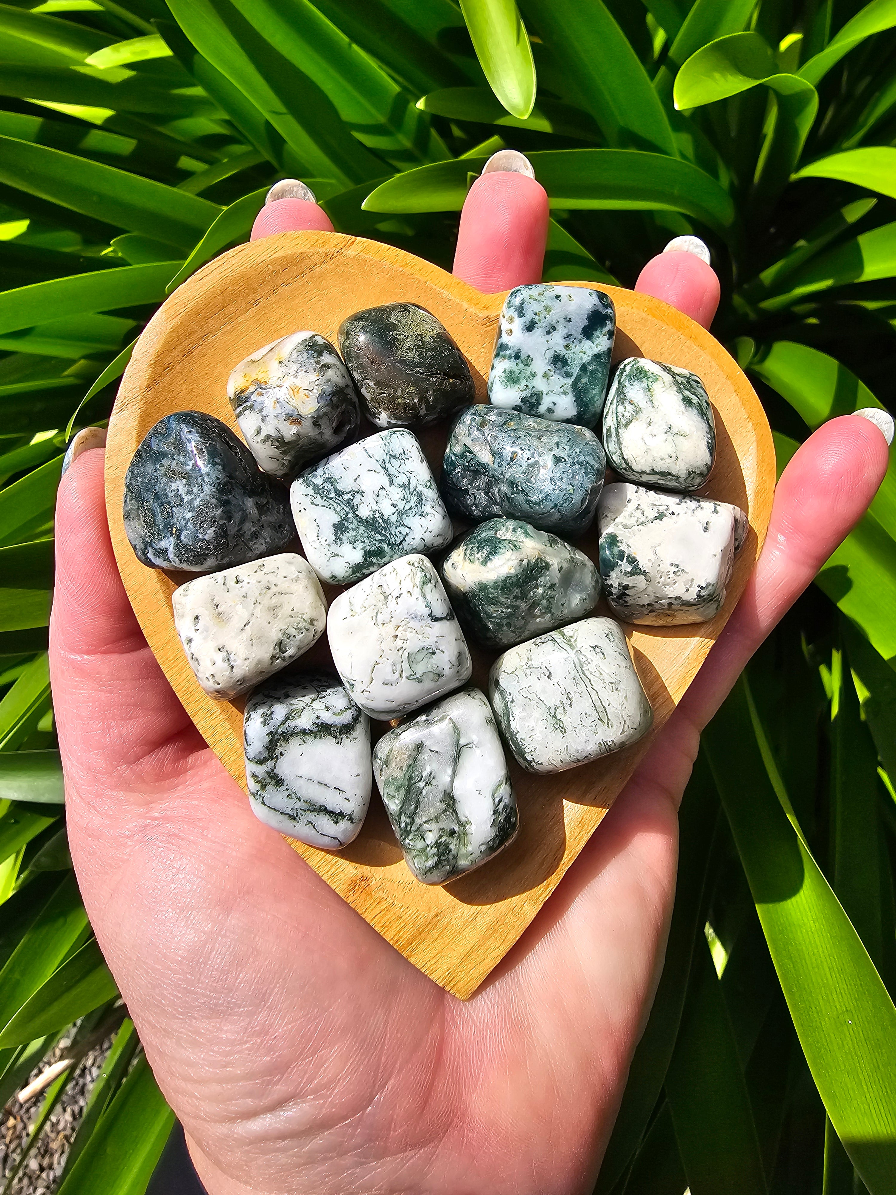 Timbled Tree Tree Agate Tumbled Stone – Daughters And Co Crystals