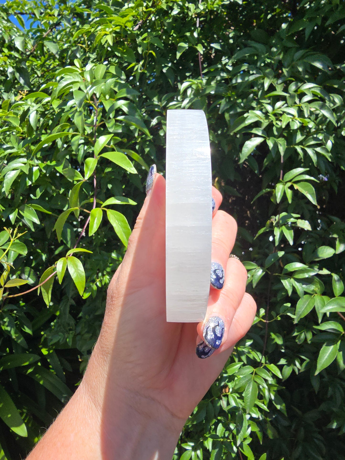 Tree Of Life Selenite Charging Plate