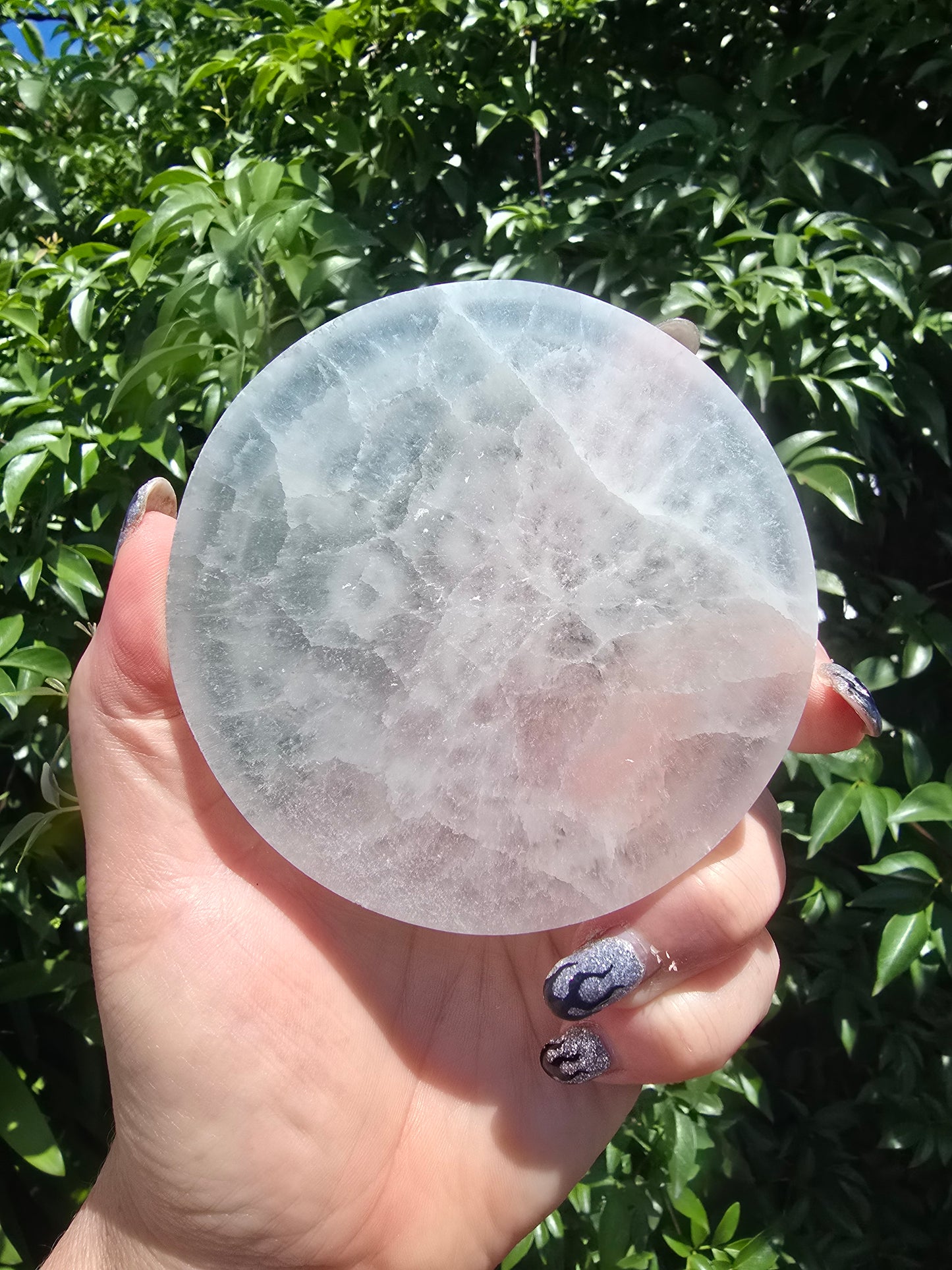 Tree Of Life Selenite Charging Plate