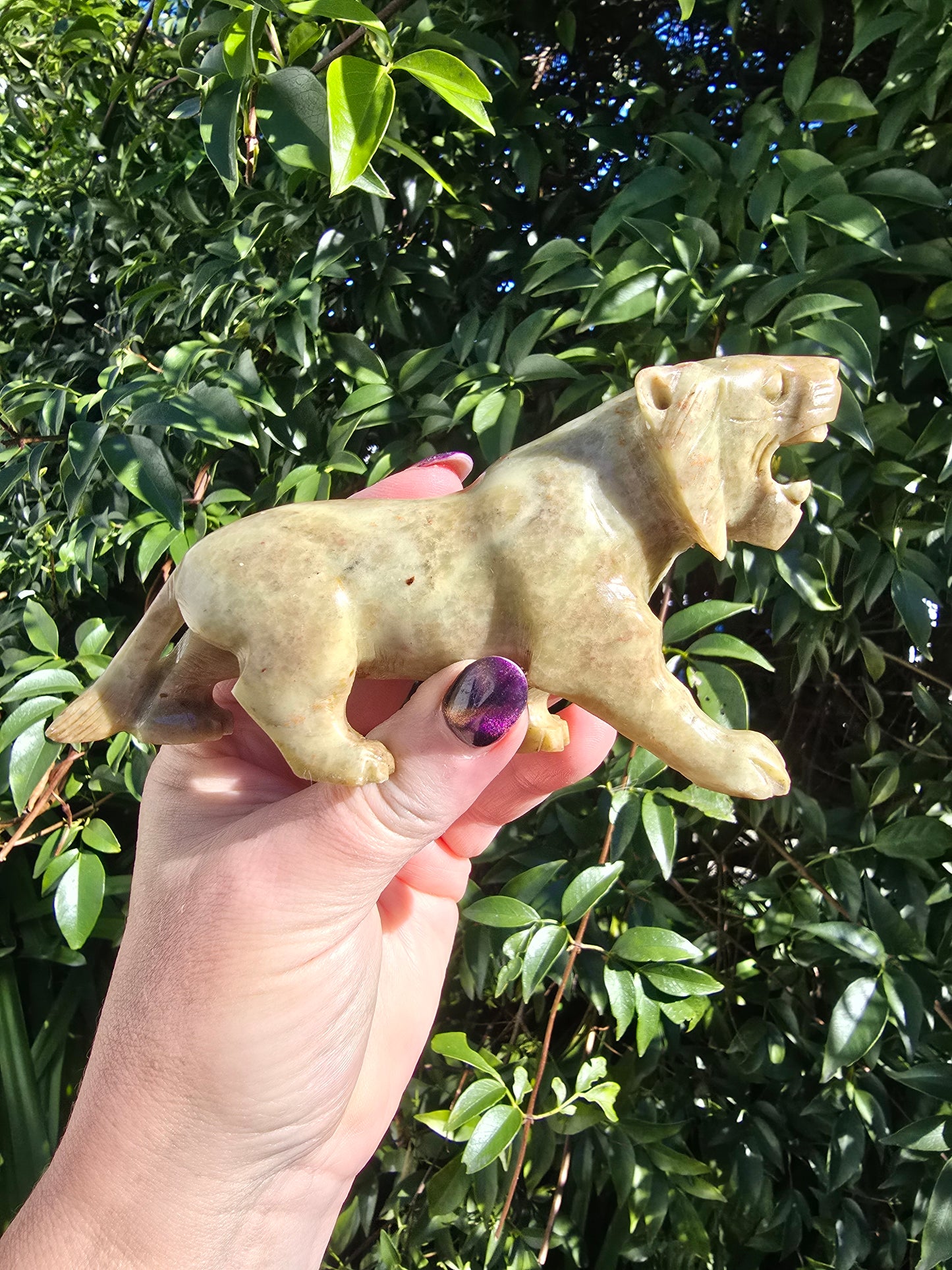 Tiger Medium Soapstone B