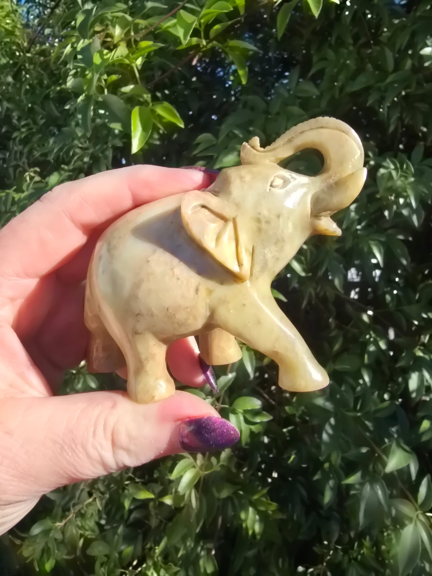 Elephant Large Soapstone C