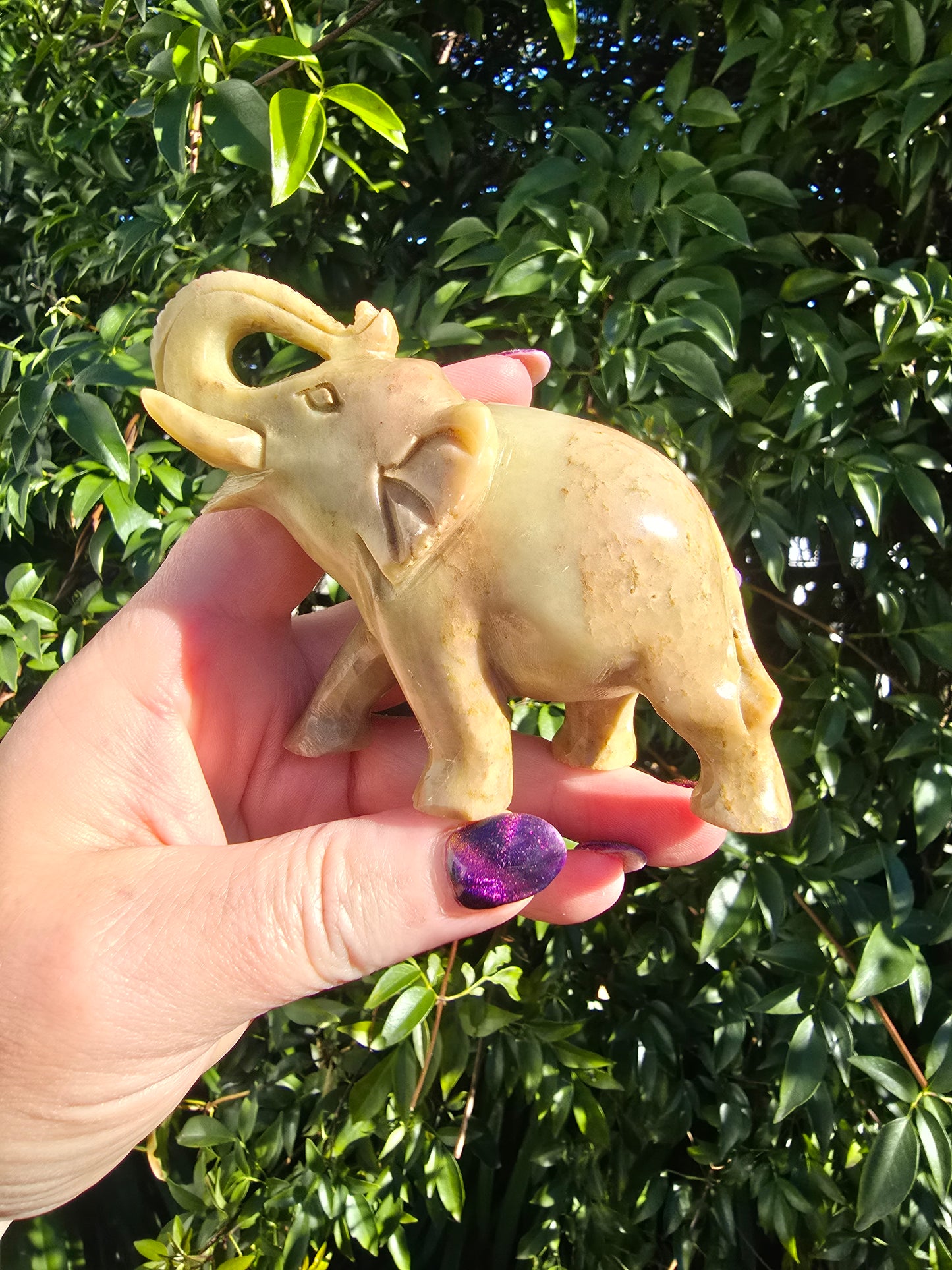 Elephant Large Soapstone C