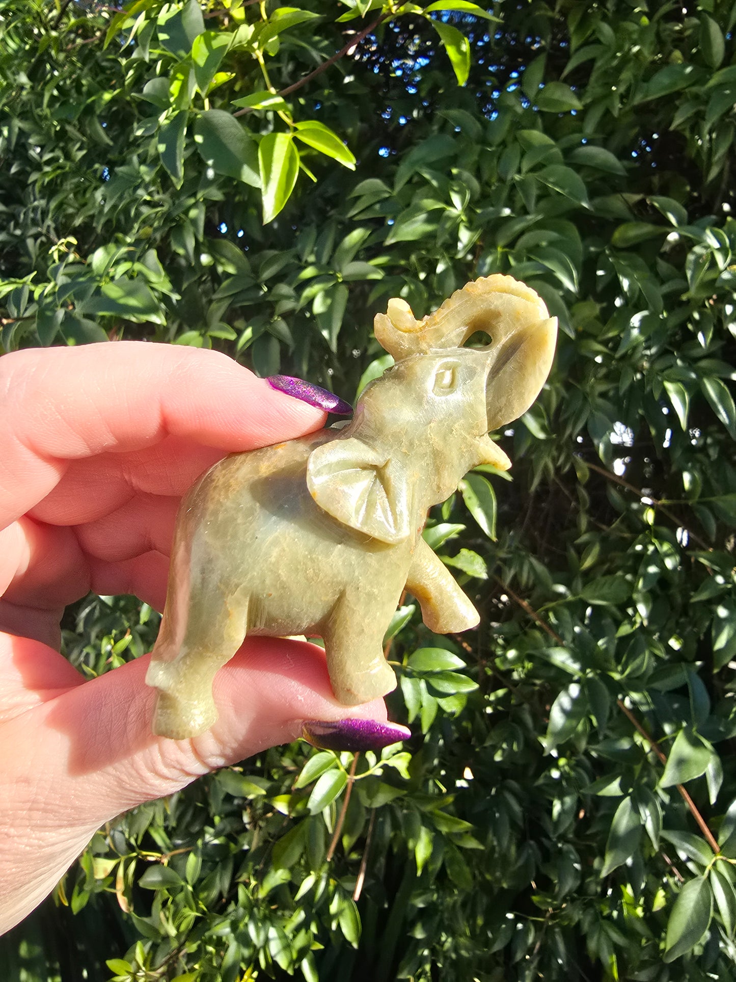 Elephant Medium Soapstone D