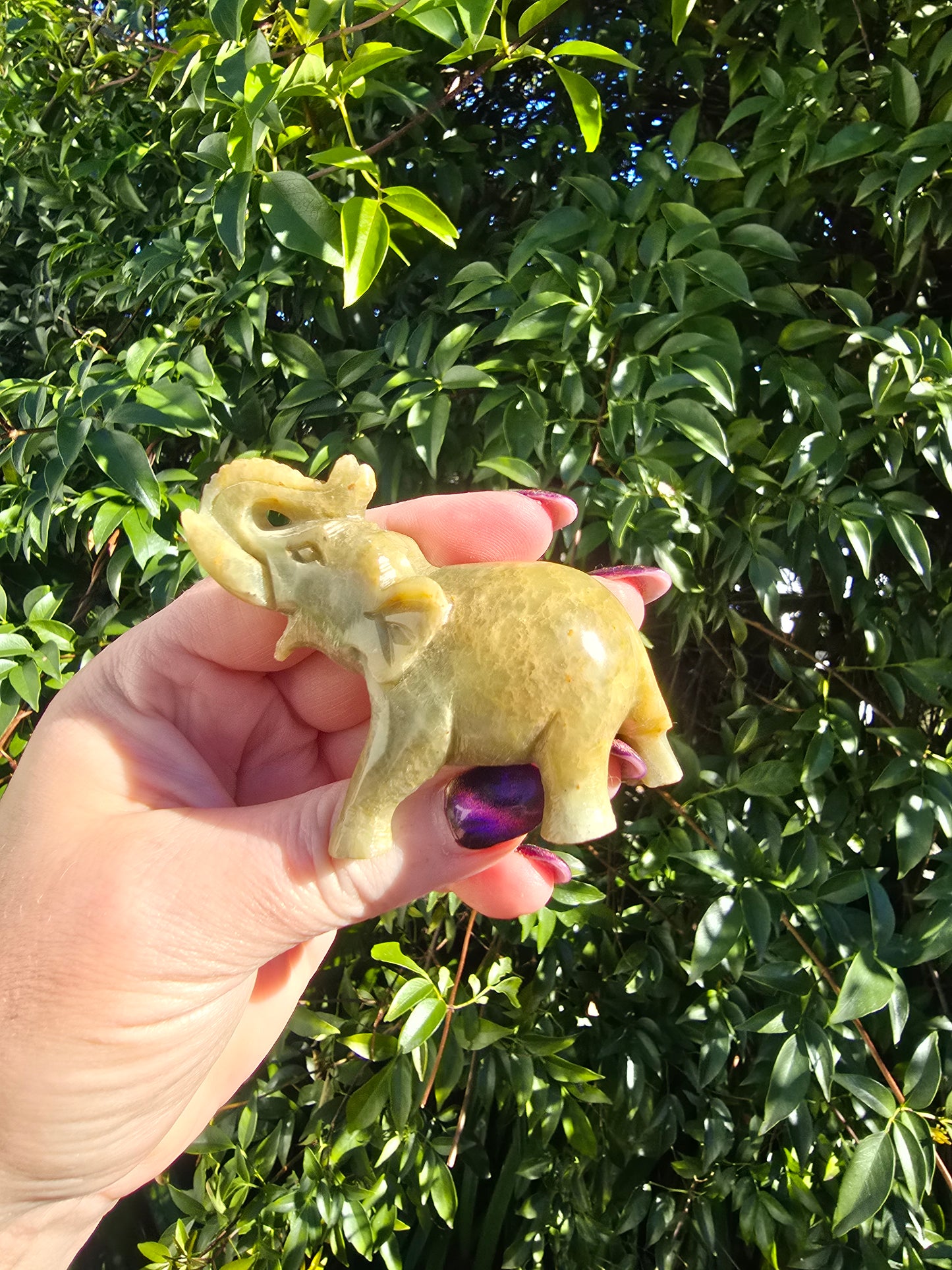 Elephant Medium Soapstone D