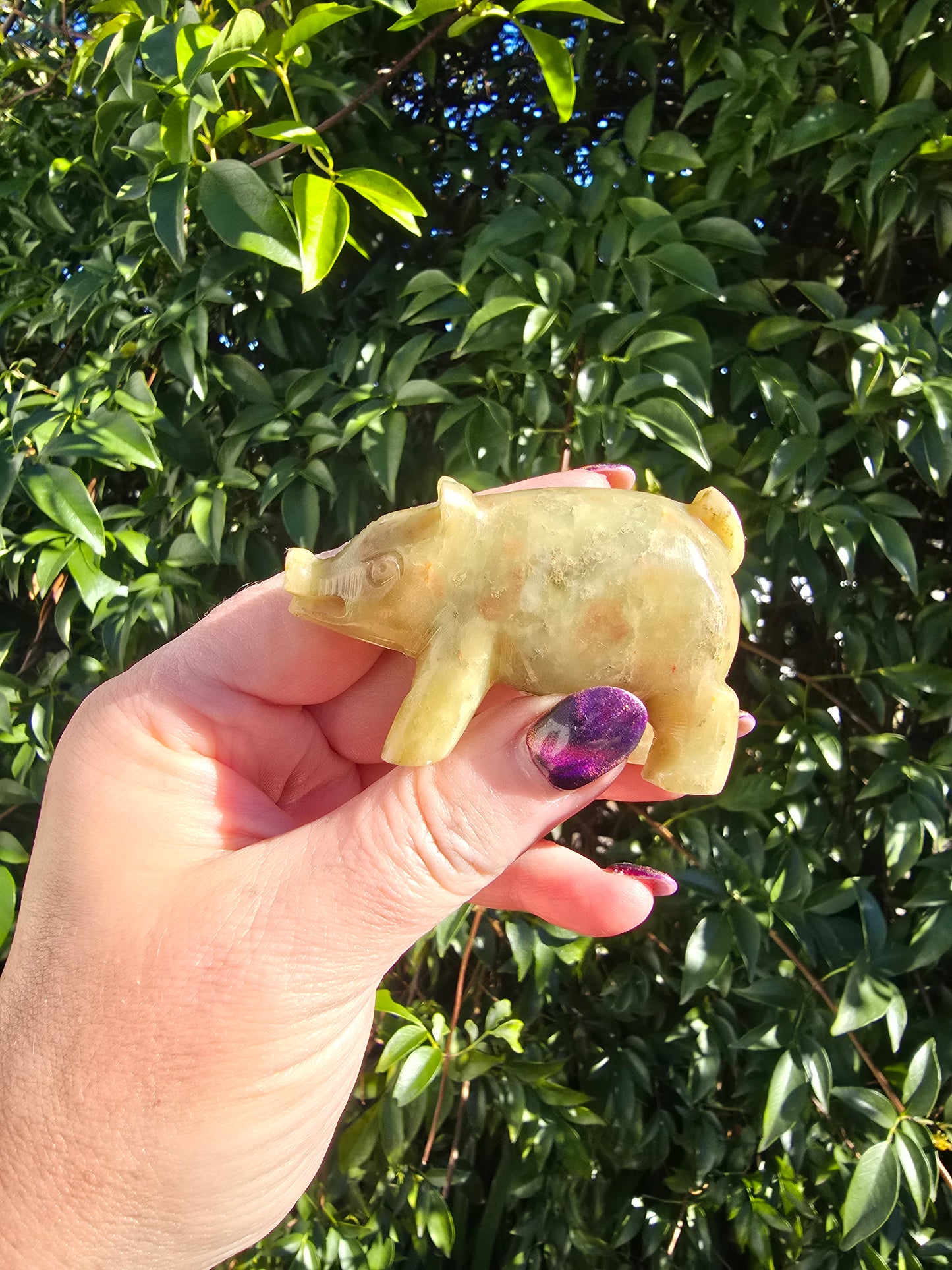 Pig Medium Soapstone C