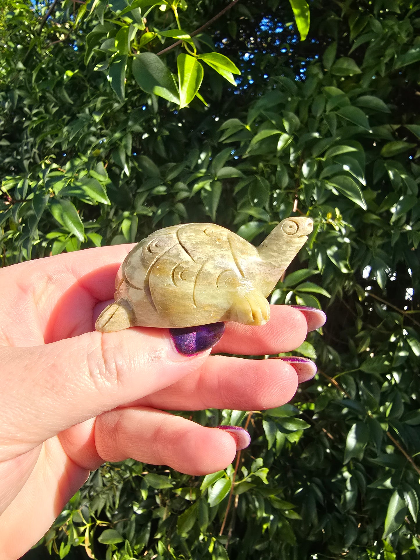 Turtle Soapstone A