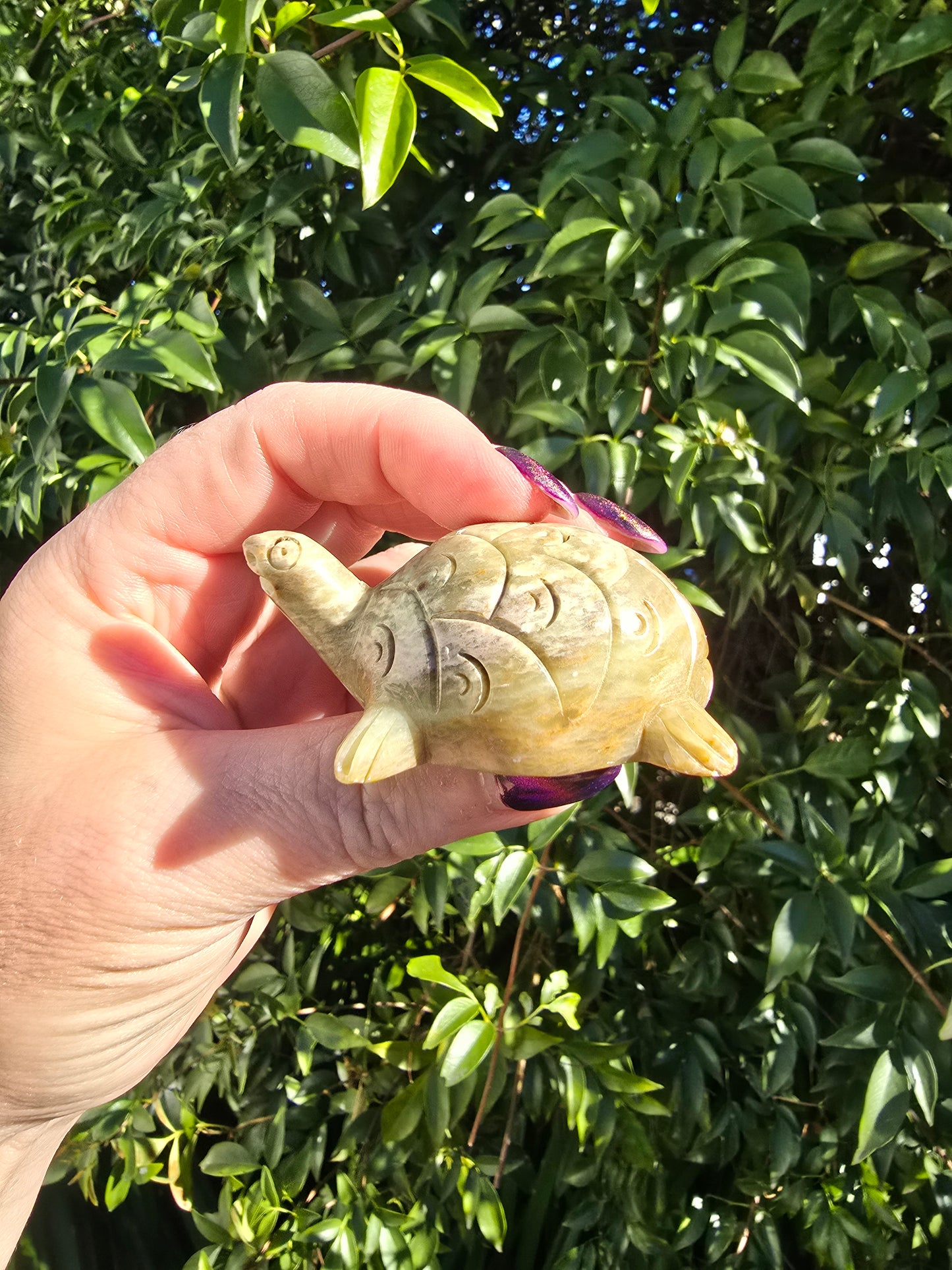 Turtle Soapstone A