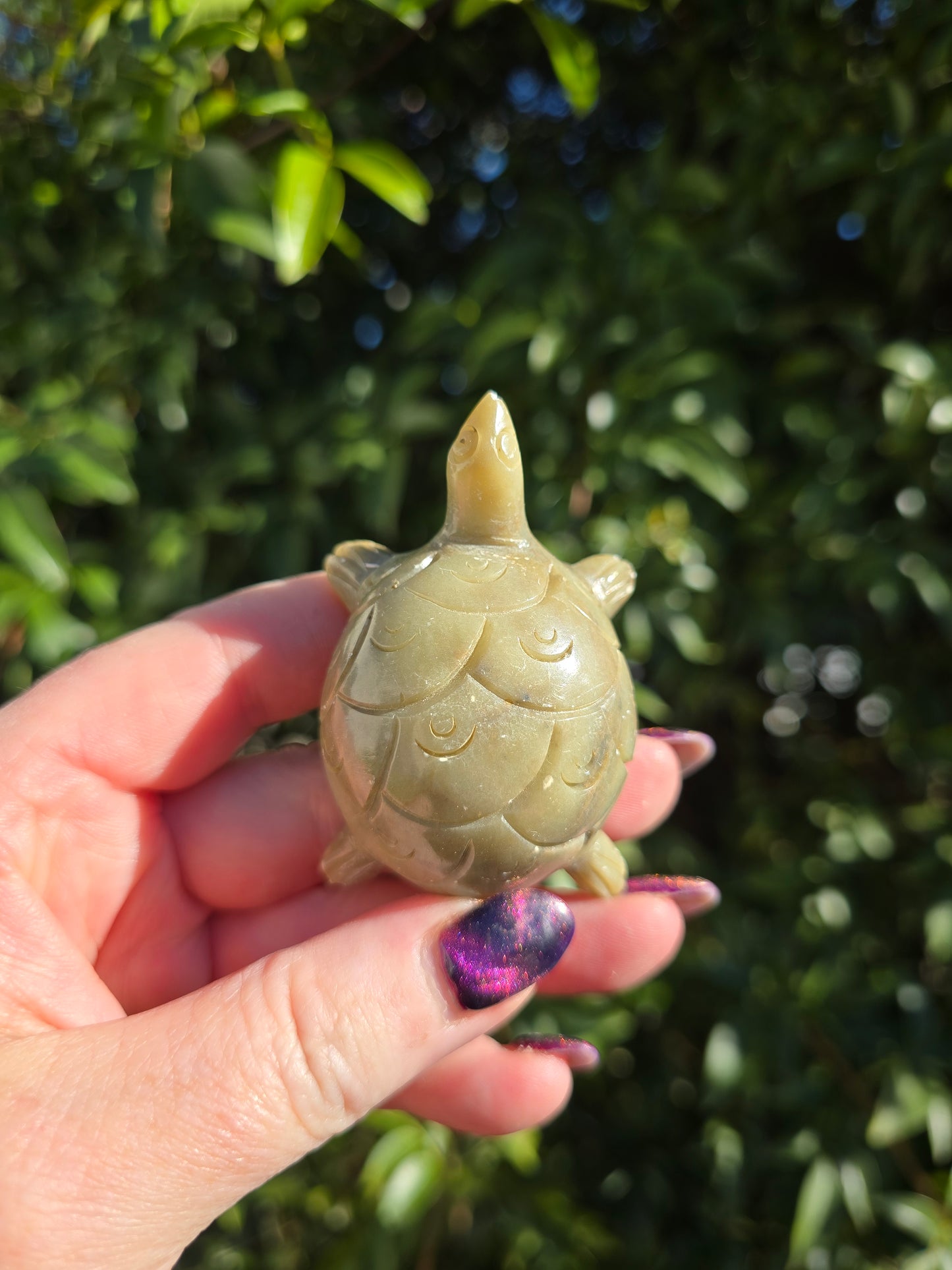 Turtle Soapstone B