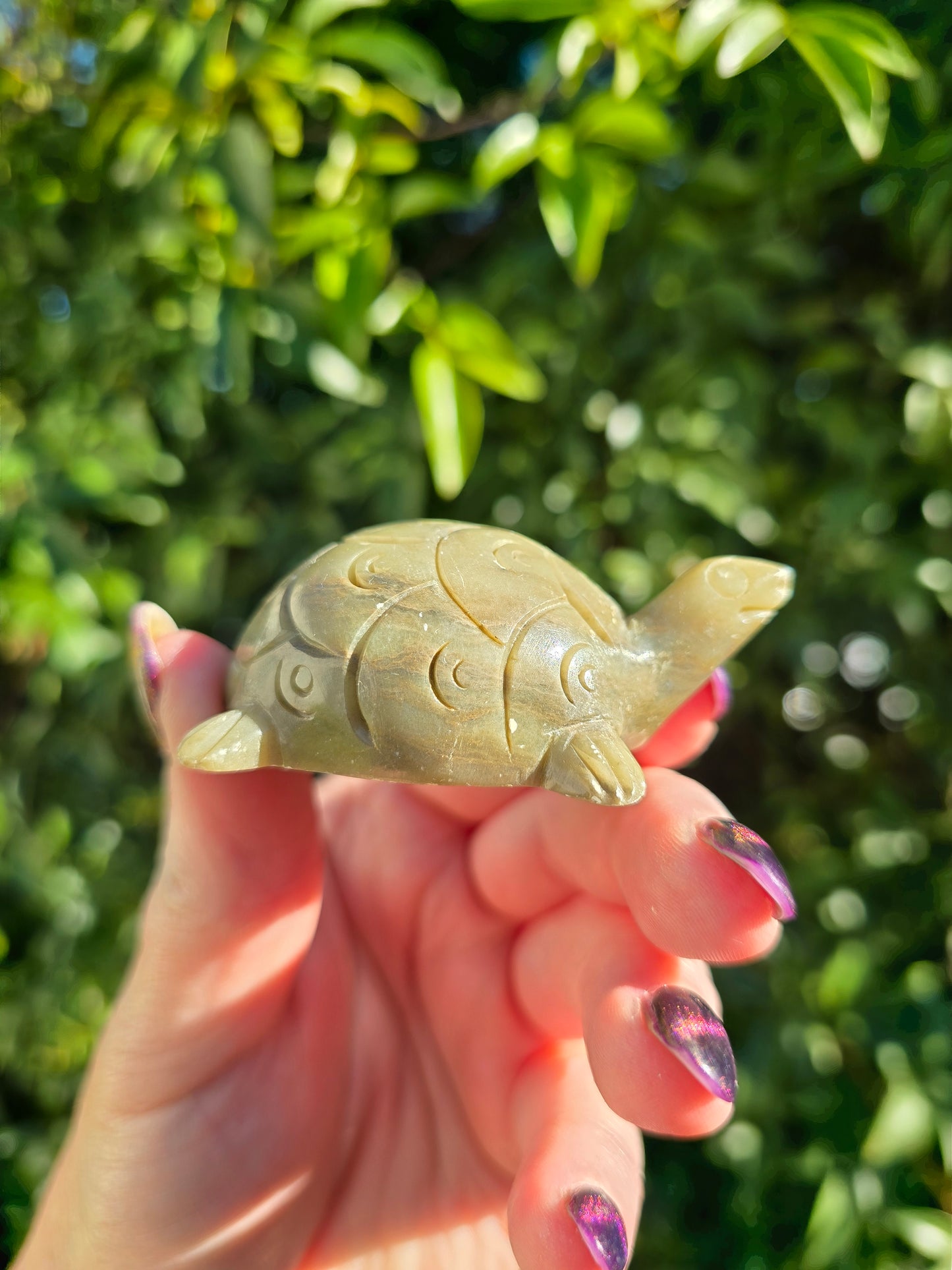 Turtle Soapstone B