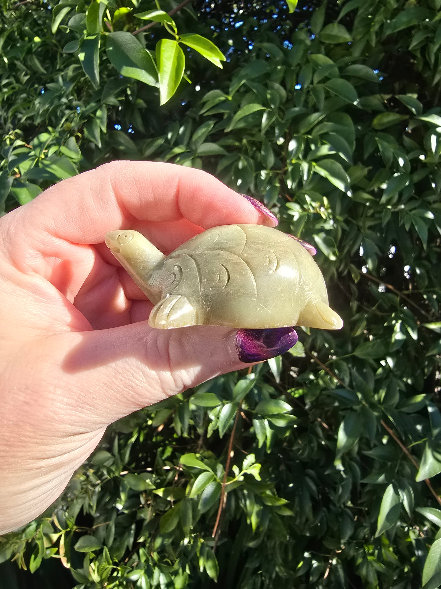 Turtle Soapstone B