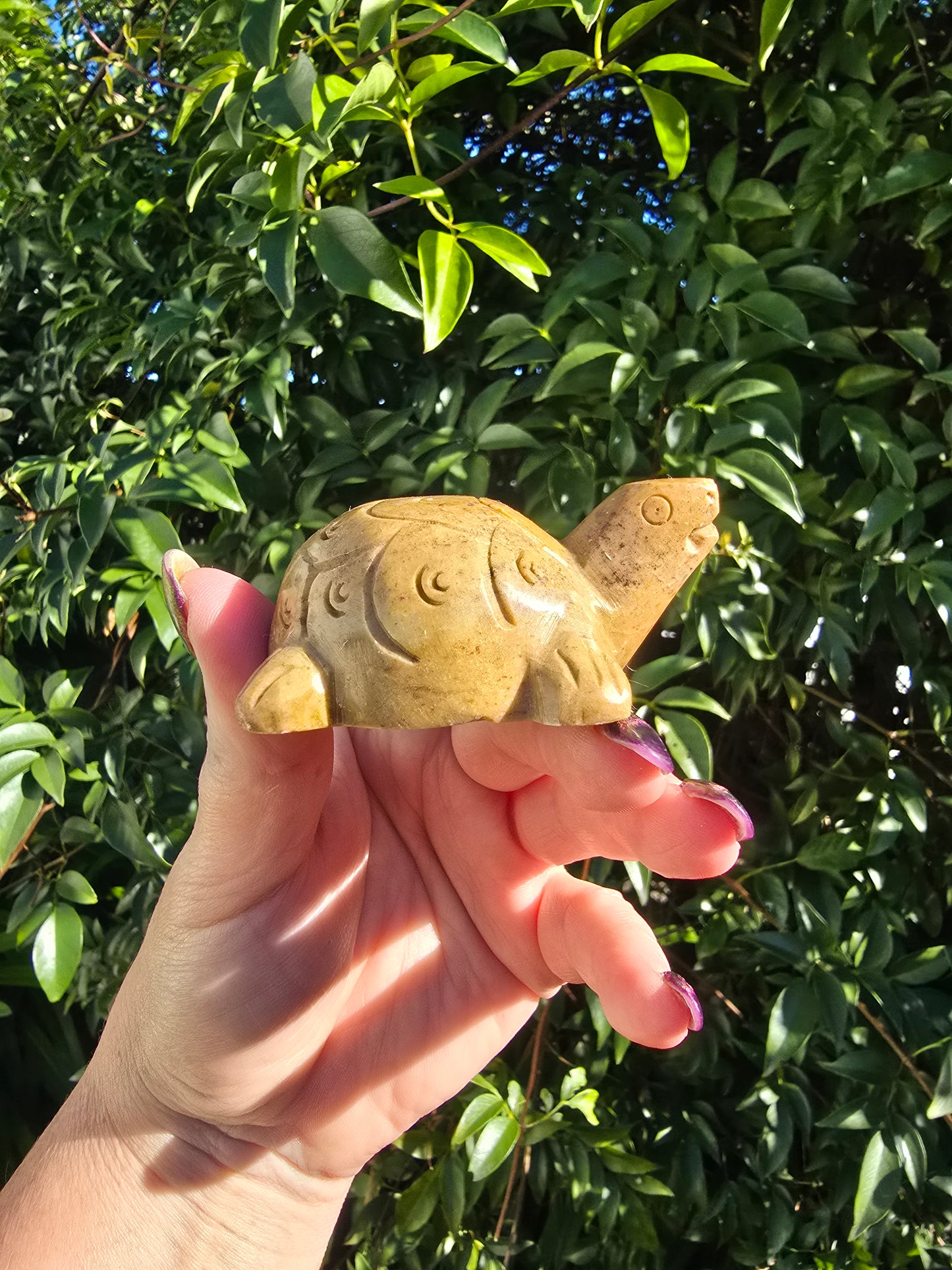 Turtle Soapstone C