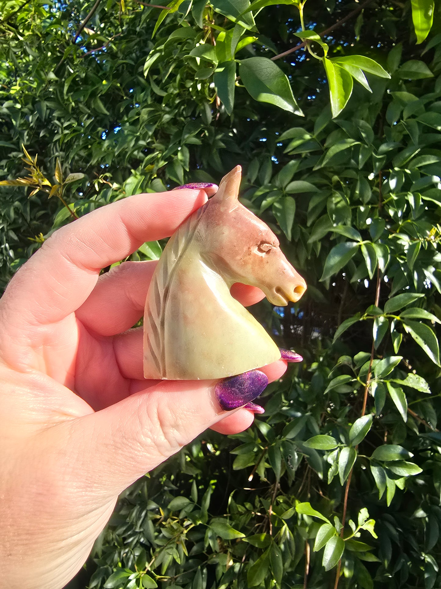 Horse Head Small Soapstone A