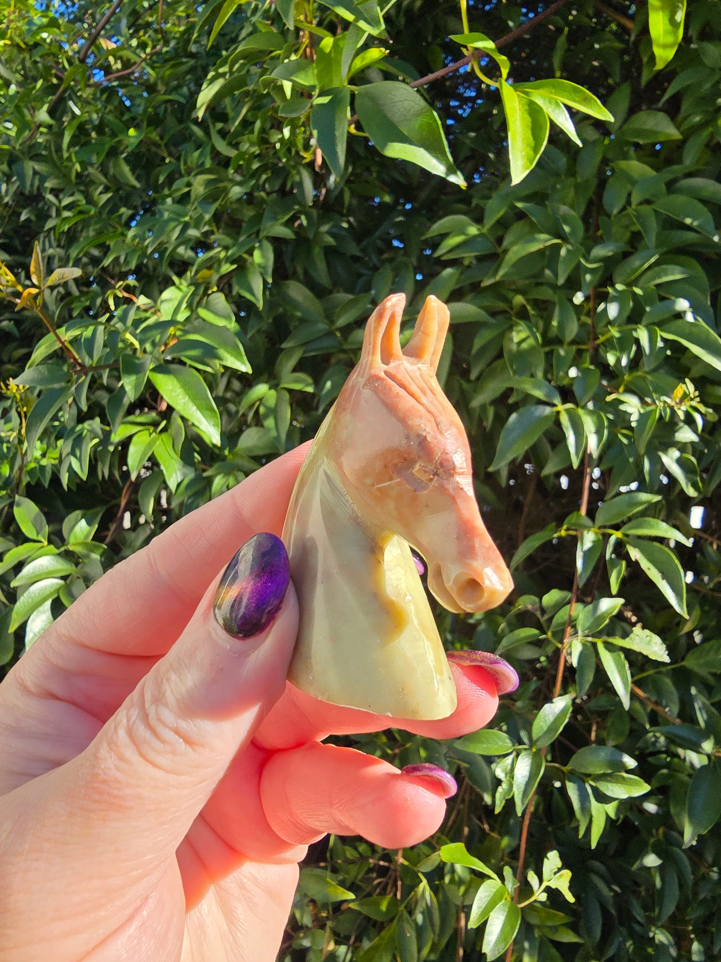 Horse Head Small Soapstone A