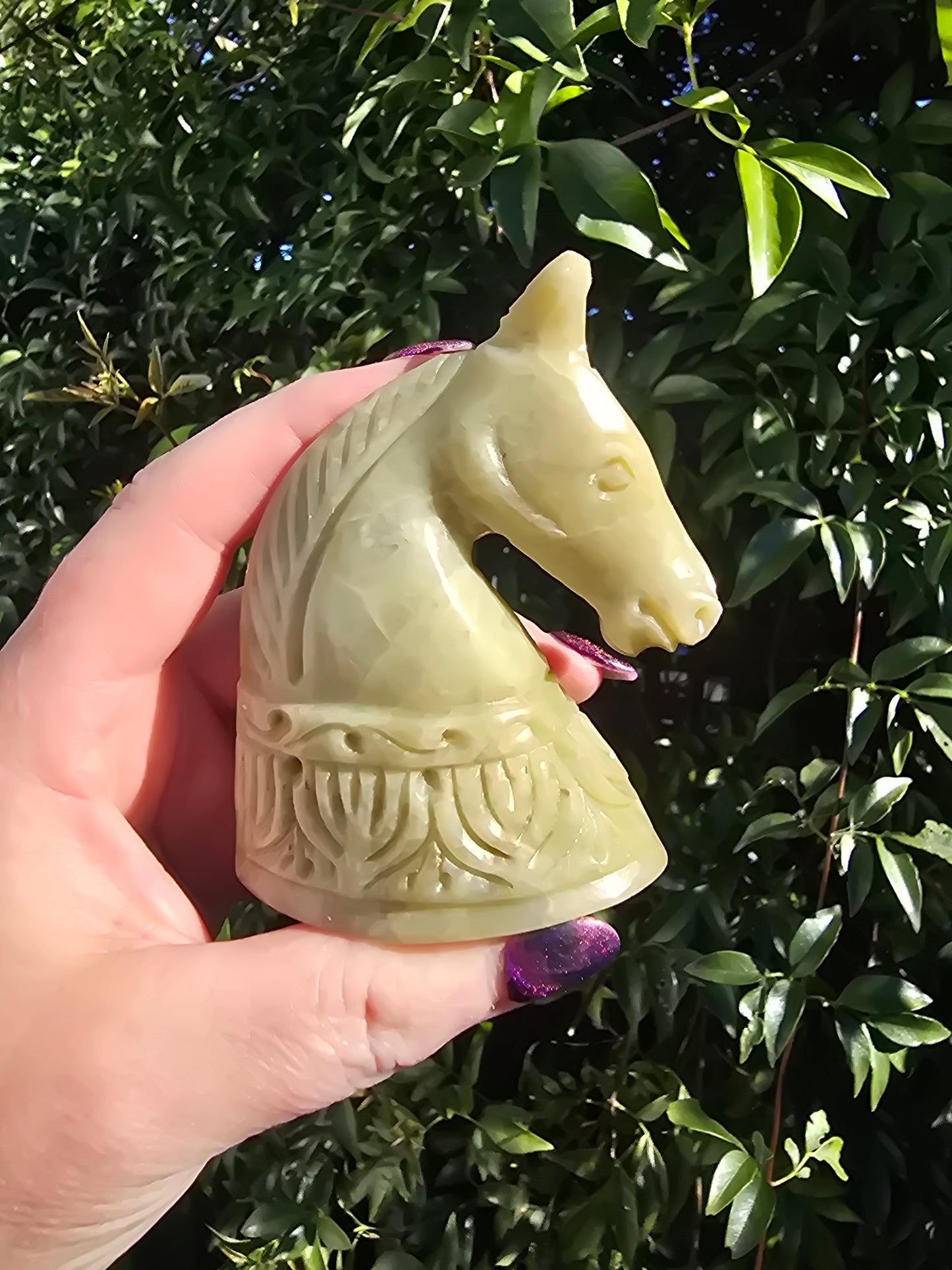 Horse Head Large Soapstone B