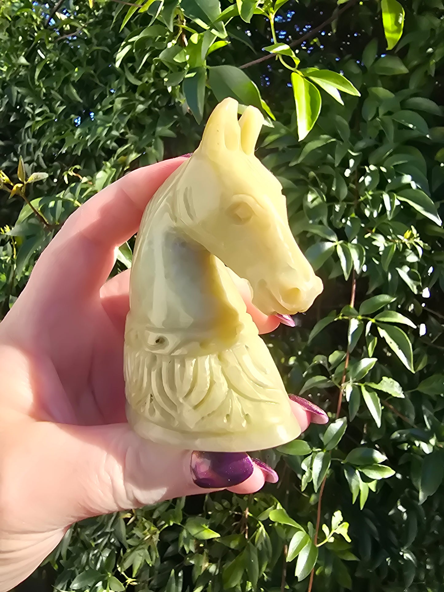 Horse Head Large Soapstone B