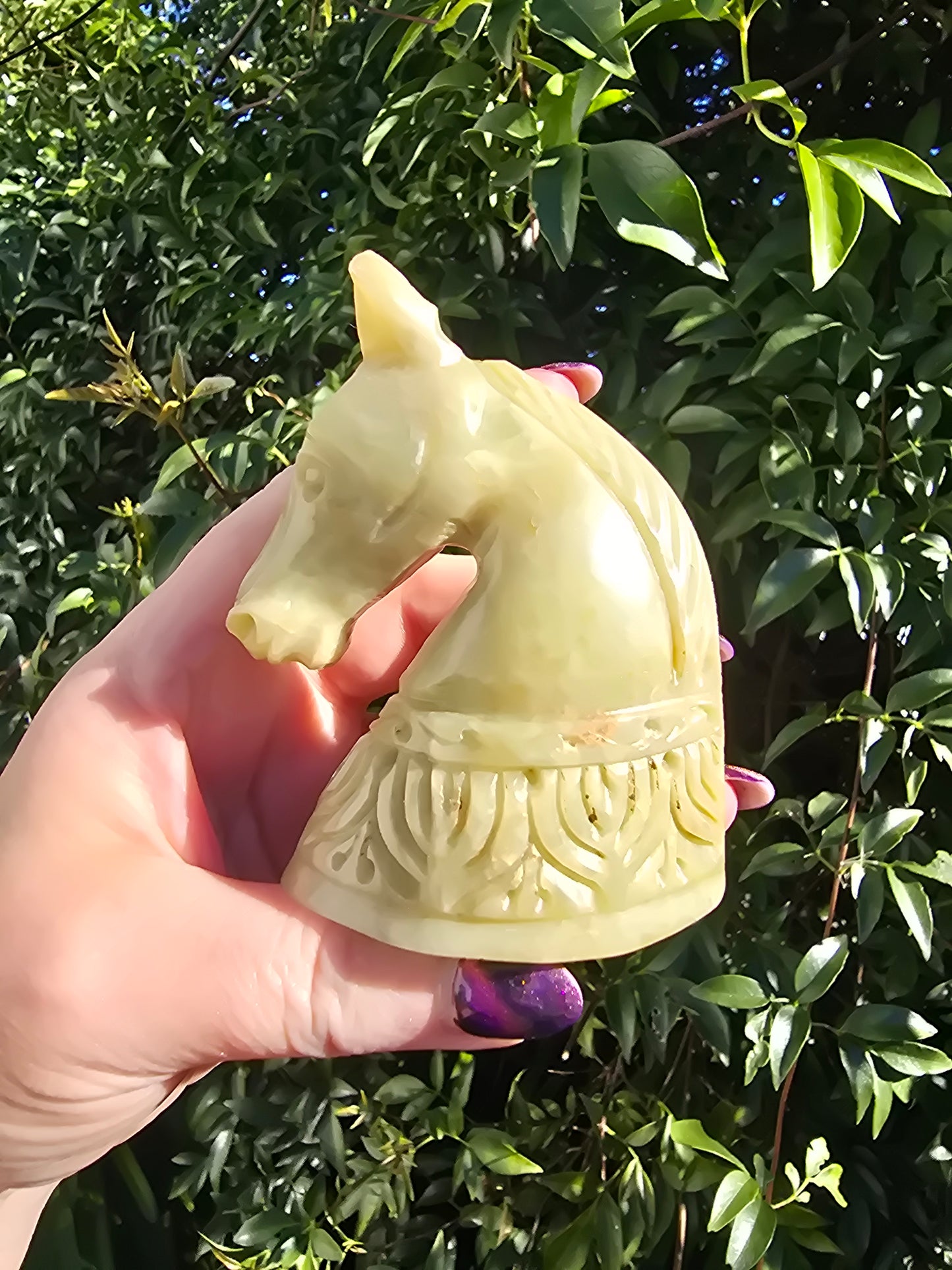 Horse Head Large Soapstone B