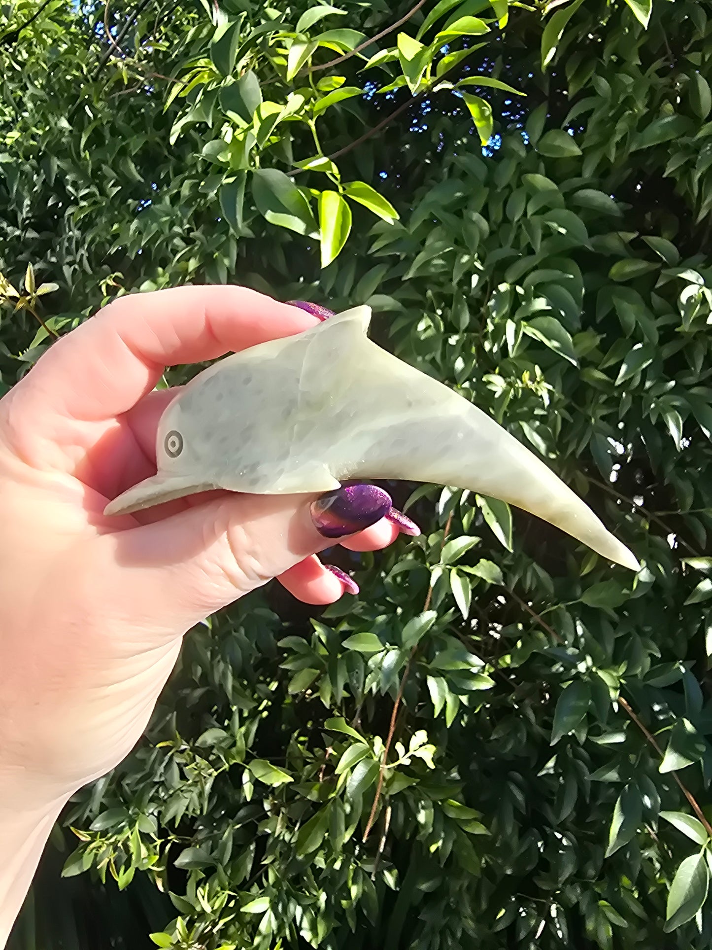 Dolphin Soapstone Large