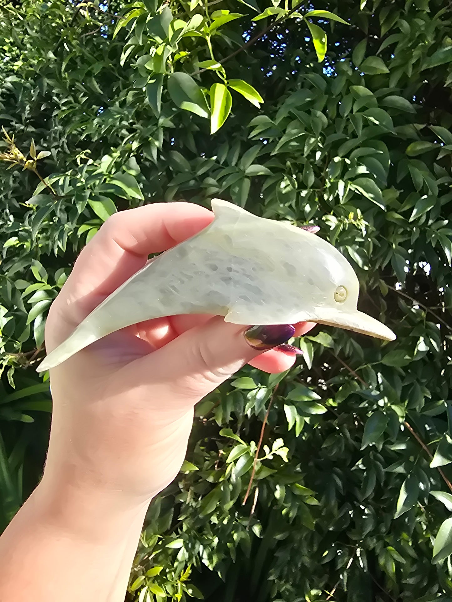 Dolphin Soapstone Large