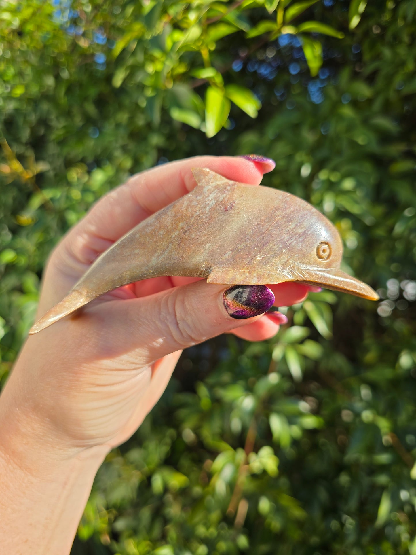 Dolphin Soapstone Large